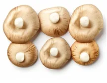 Featured products - 问鼎娱乐下载4